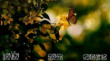 قرآن كريم سورة  المائدة (الربع الثاني) حمدي علي أبوطالب Holy Quran Surah Al Ma'idah
