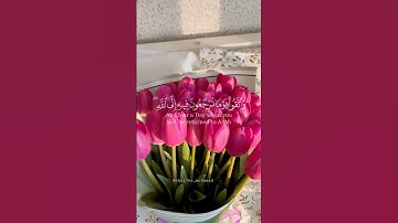 القارئ #اسلام_صبحي أرح قلبك 💗💗|واتقوا يوماً ترجعون فيه إلى الله