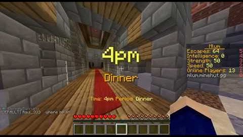 Mlum Minehut Server Hacker Report