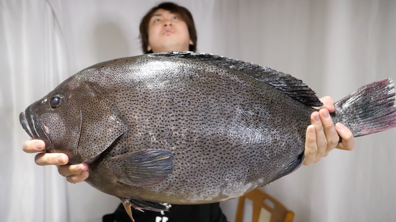 マジの幻の魚が入りました 全身バターみたいな魚 お値段も過去最大です どうしよ Youtube