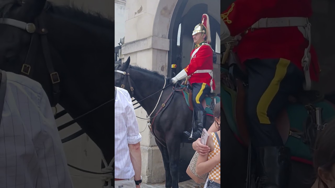 Tourist mode: ON ✅ Royal guard spotted 👀 