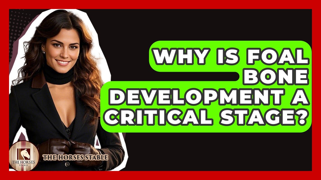 Why Is Foal Bone Development A Critical Stage? - The Horses Stable