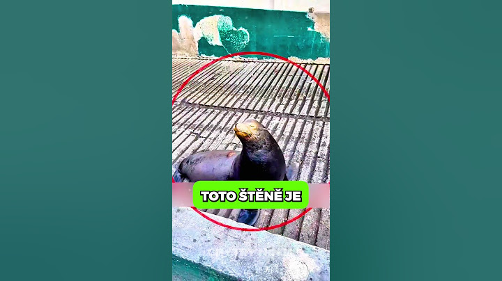 BĚŽ, když to uvidíš! 😳 #fakta #shorts #zajimavosti