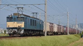 EF64 1006号機 3075レ貨物列車　沼津‐片浜間