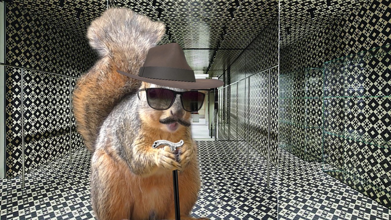 Squirrel Sings My Walking Stick by Leon Redbone - Porch Critter Karaoke 68 With Tony