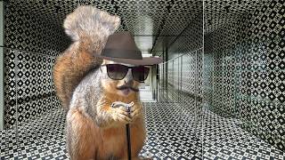 Squirrel Sings My Walking Stick by Leon Redbone - Porch Critter Karaoke 68 With Tony