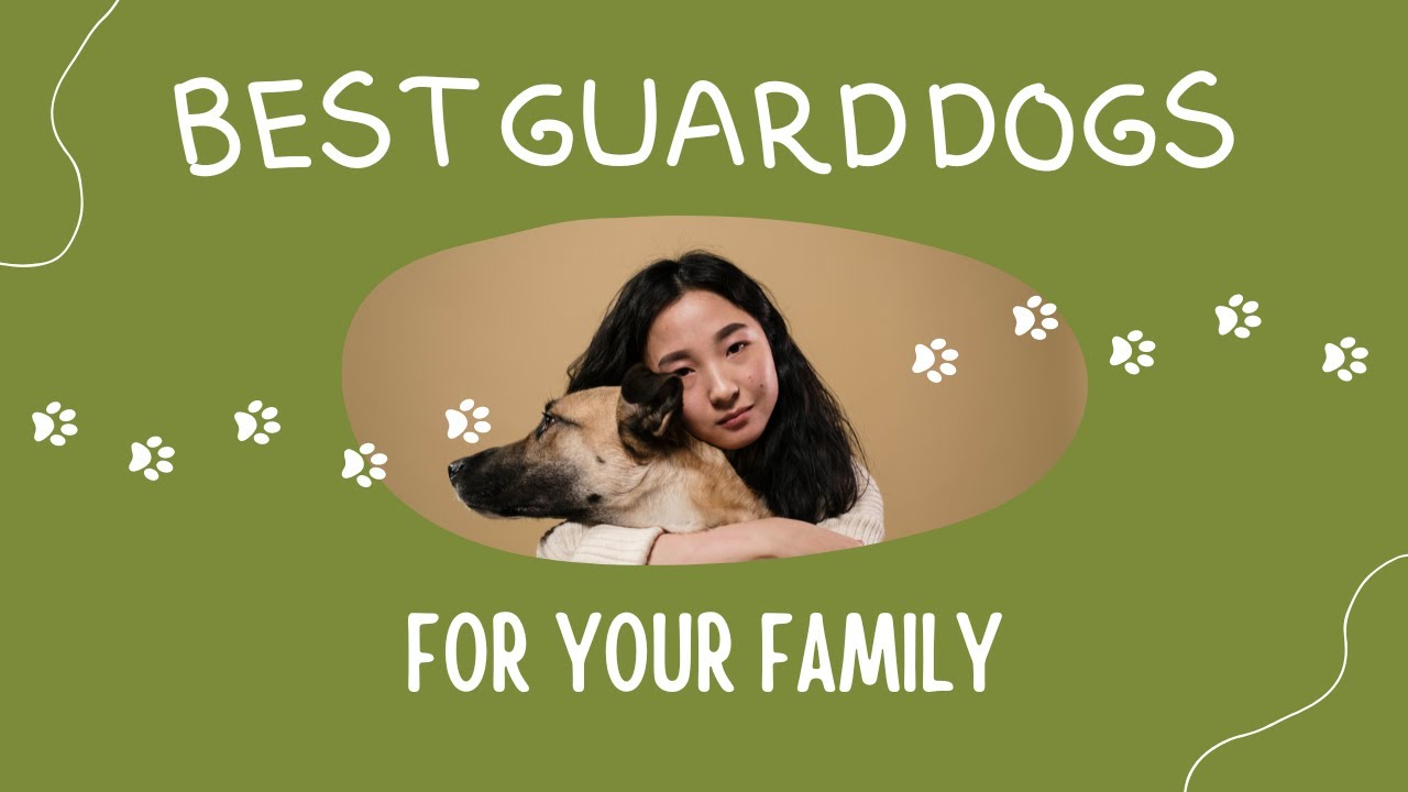 Best Guard Dogs For Your Family YouTube