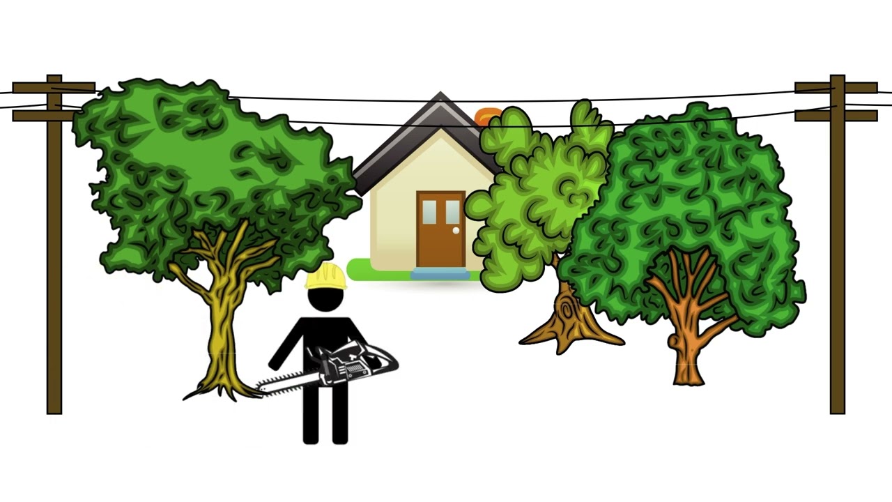 The Essentials: Vegetation Management Program