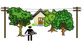 The Essentials: Vegetation Management Program