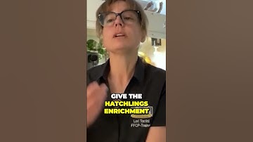 Surprising Truths About Ball Python Breeders That Will Change How You View Them