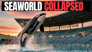 The Rise and Fall of SeaWorld — How Blackfish Killed an American Empire