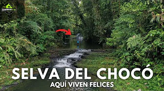 This is paradise. They live in San Francisco de Ichó (Colombia).