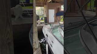 IMG 4468
