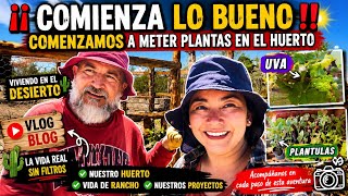 223~ ‼️COMIENZA LA MAGIA‼️PRIMER DÍA DE PLANTACIÓN DE LA HUERTA #huertoorganico #blog #vidadecampo 