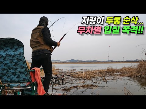 무차별 입질 폭격/ 알자리 <strong>탐색</strong> 붕어낚시