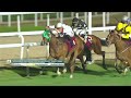 RM 60  Al Rayyan Race 4 -  Eraida Cup