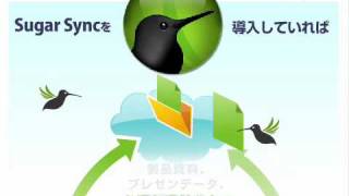 SugarSyncで営業効率アップ編
