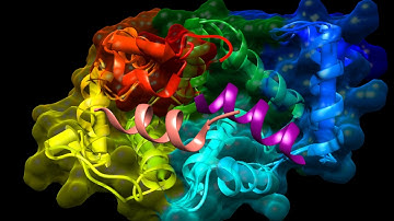 NCS-1 conformational change in binding to D2R dopamine receptor