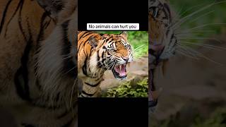 What God can give you in heaven #viral #viralvideo #fyp #shorts