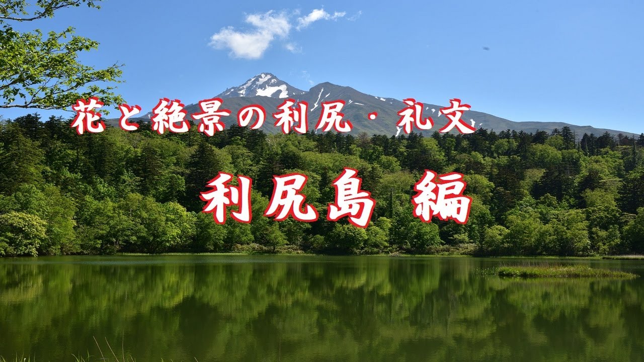 絶景と花の利尻・礼文「利尻島」編  2024年6月