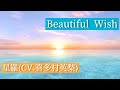 【歌ってみた】Beautiful Wish - 星羅(CV.喜多村英梨) / Lune