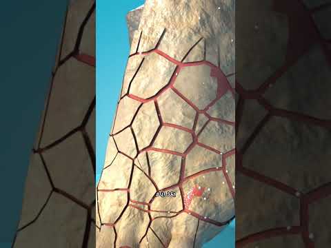 طريقة غريبة لزراعة الف طر على الجلد الميت