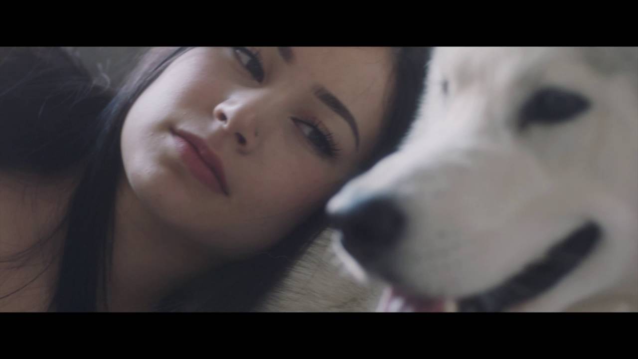 Because Life Is Better Thanks To Your Dog