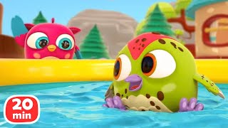 HopHop e Bianca. Desenho infantil em português. PeckPeck se lava na piscina. Melhores episódios.