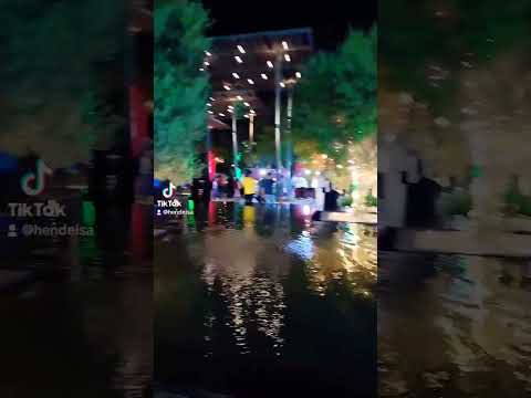 Shorts العيد الوطني لدولة الإمارات