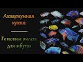 Аквариумная кухня Готовим омлет для мбуны