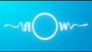 Flow (2006)