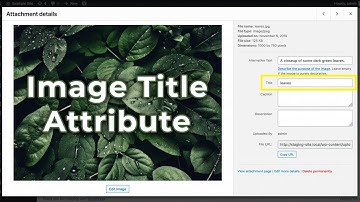 Understanding the Image Title Attribute