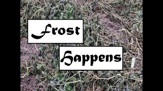 Before and After the FROST
