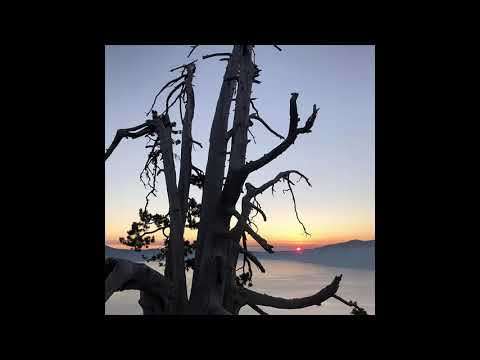 "In The Shade of Shadowless Trees" by West Riding - from the album "Quiet Mountain"