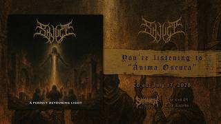 Skjult - Ánima Oscura
