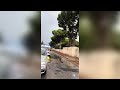 Lecce, bimbo di quattro anni finisce la chemio: la festa per le strade