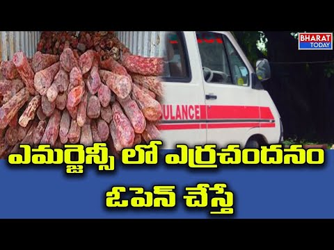 ఎమర్జెన్సీ లో ఎర్రచందనం | Bharat Today
