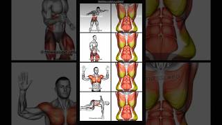 exercise workout bodybuilder #workout #motivation #fitness #shorts #gym