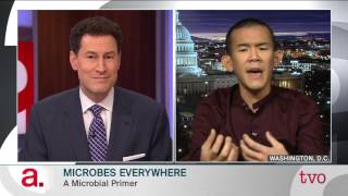 Celebrity Microbes Everywhere Wealth