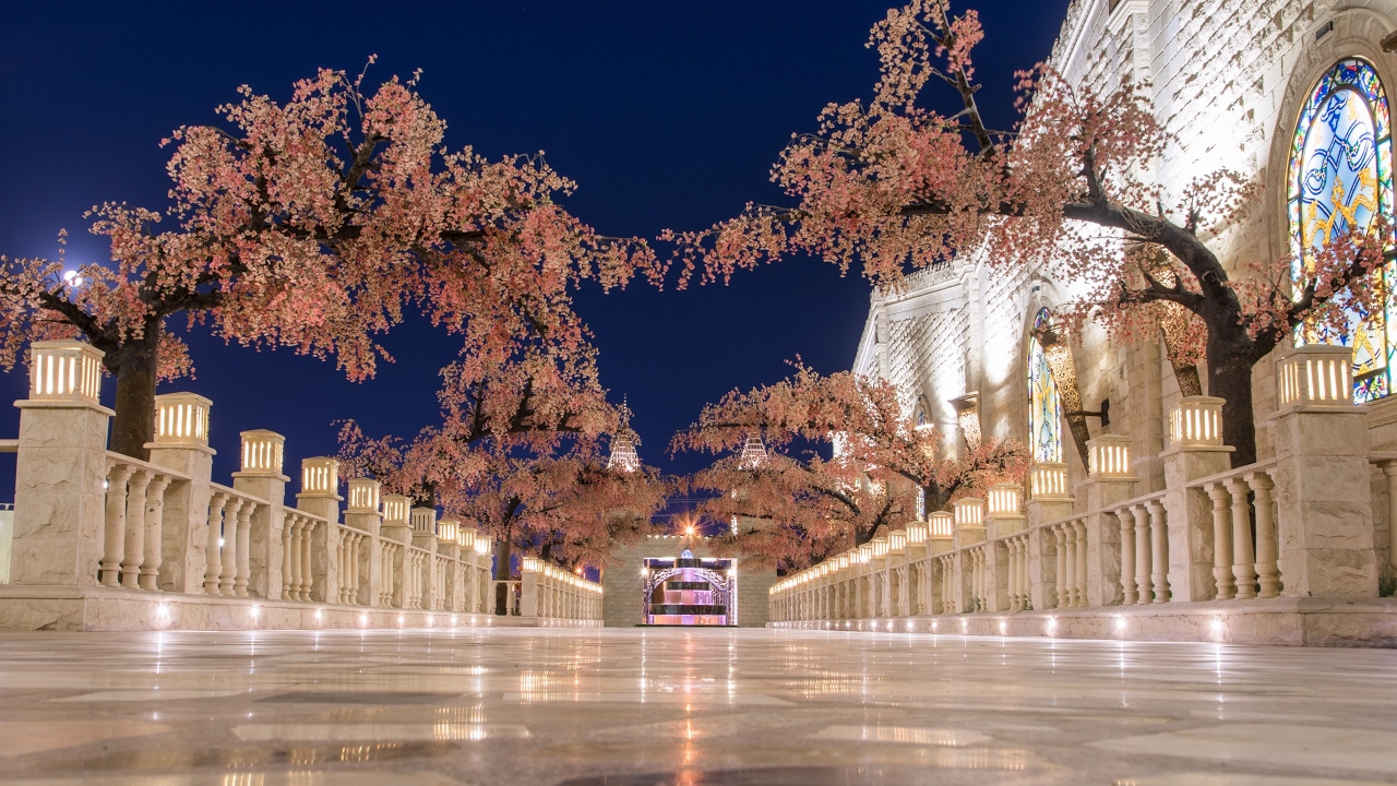 قاعة القلعة للإحتفالات ... القصة