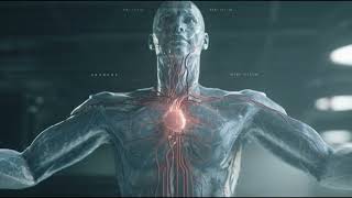 The Human Body: The Most Advanced Machine on Earth (You Won’t Believe This) 