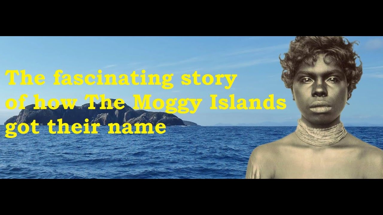 Are The Moggy Islands New Zealand's Strangest Place Name?