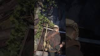 Get Hidden Gold bars Early in Red Dead Redemption 2 #rdrgameplay #westerngaming