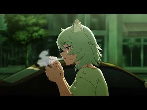 Chainsmoker Cat Intro