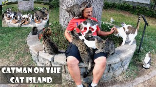 When stray cats see this man, they compete with each other to get a place on his lap.