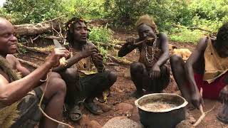 Hadza tribe Cooking ZEBRA