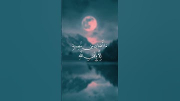 سورة التغابن  بصوت الشيخ سعد الغامدي