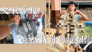 【史瓦帝尼3】史瓦帝尼竟然找得到這個？！ 體驗一下最local的史 ...