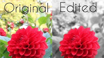 Photoshop Touch (Color Splash) Editing Android