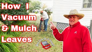 How I Vacuum and Mulch Leaves | Toro Ultra Blower and Vacuum